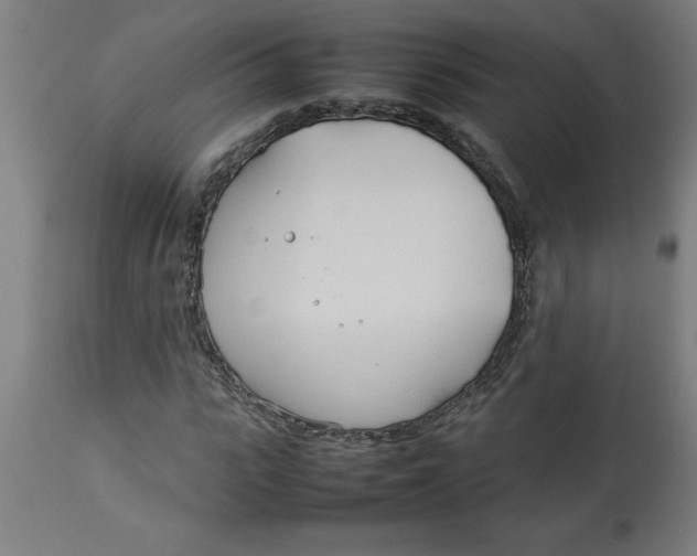 X0000112790919200909181510