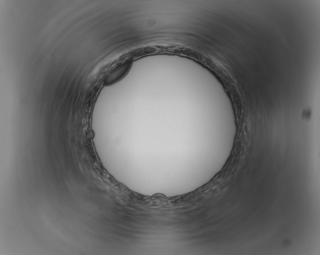 X0000112790920200909181510