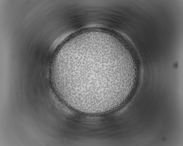 X0000112790921200909181510