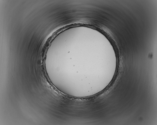 X0000112790923200909181510