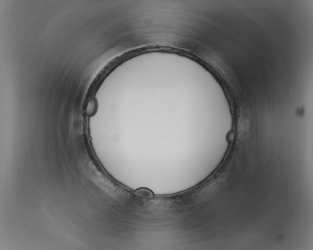 X0000112790924200909181510