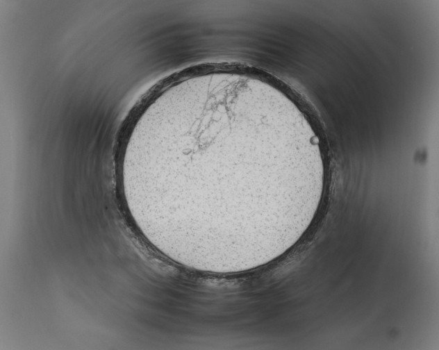 X0000112790927200909181510