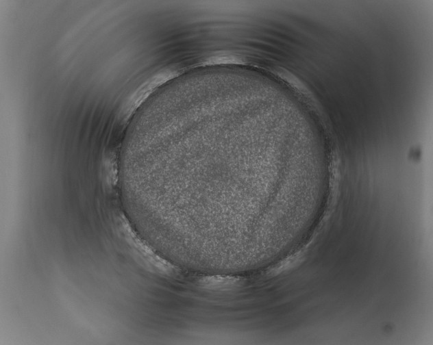 X0000112790929200909181510