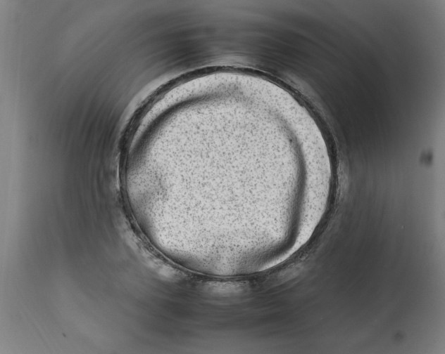 X0000112790931200909181510