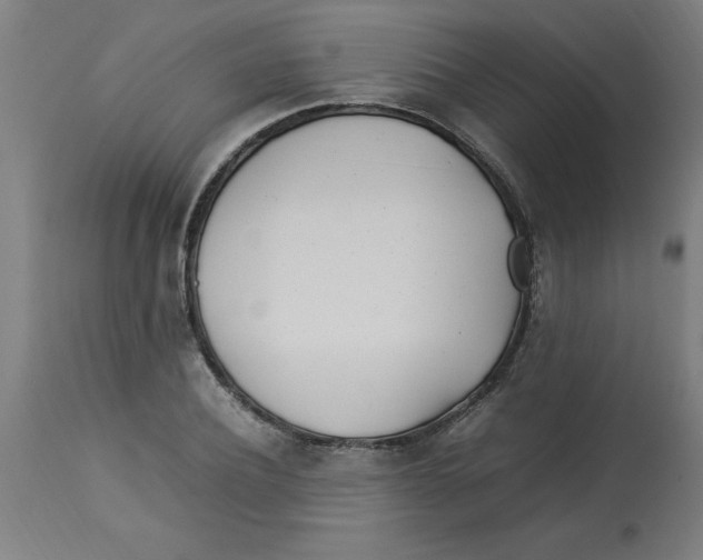 X0000112790932200909181510