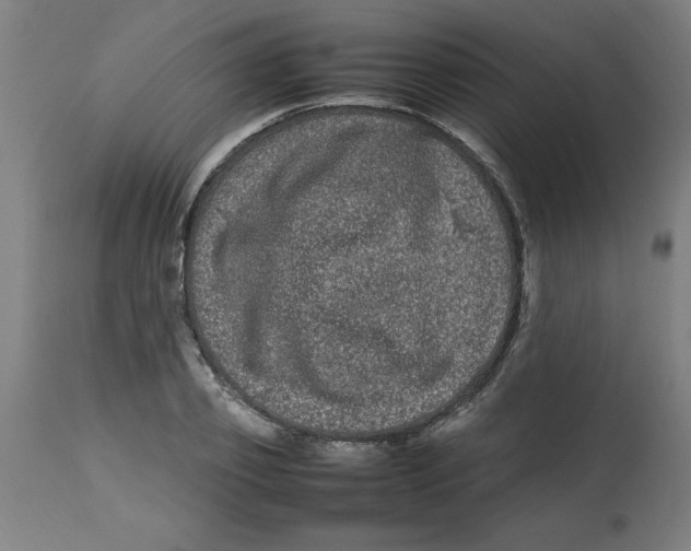 X0000112790933200909181510