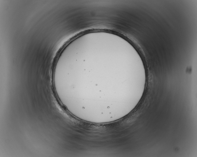 X0000112790935200909181510