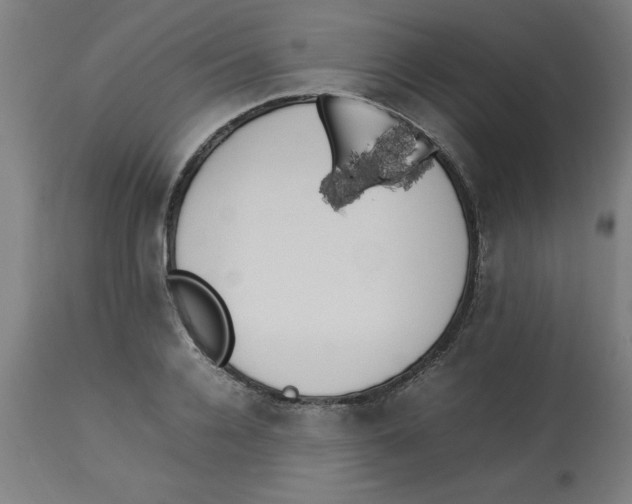 X0000112790936200909181510