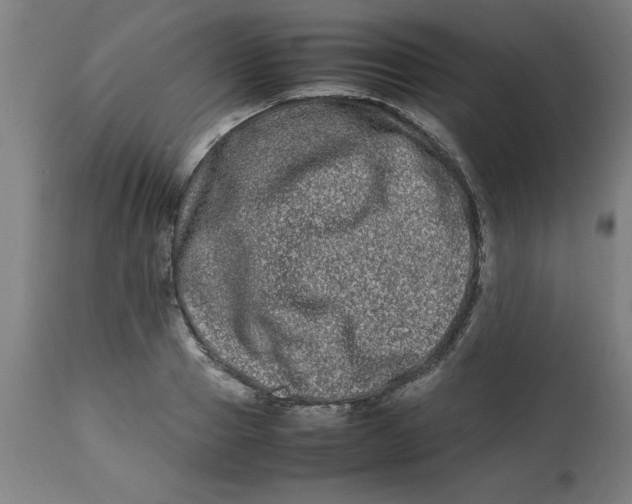 X0000112790937200909181510