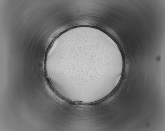 X0000112790938200909181510