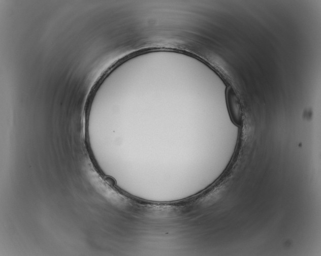 X0000112790940200909181510