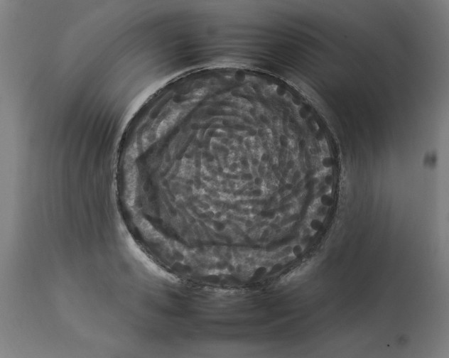 X0000112790941200909181510