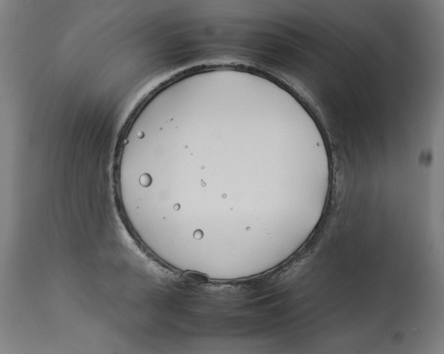 X0000112790943200909181510