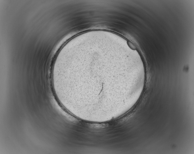 X0000112790947200909181510