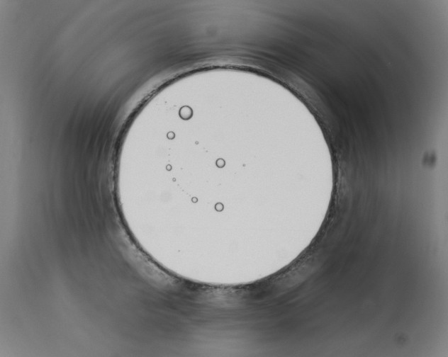 X0000112790950200909181511