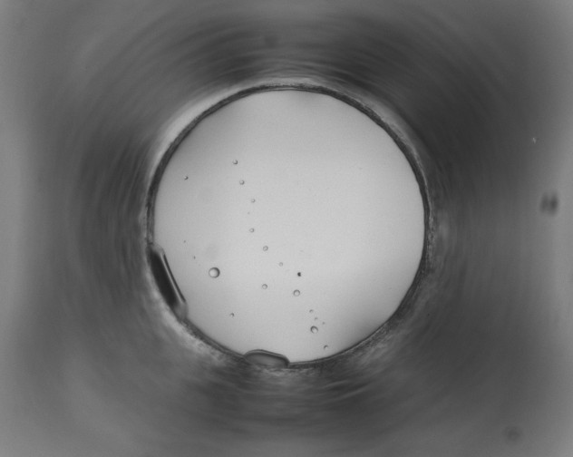 X0000112790951200909181511