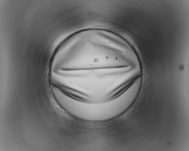 X0000112790952200909181511