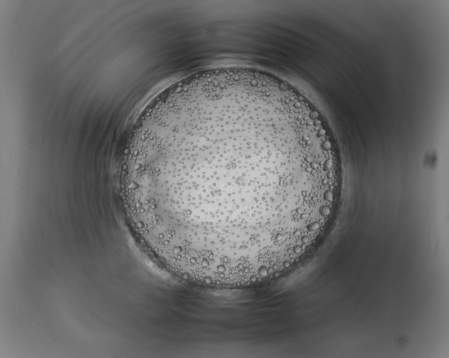 X0000112790953200909181511