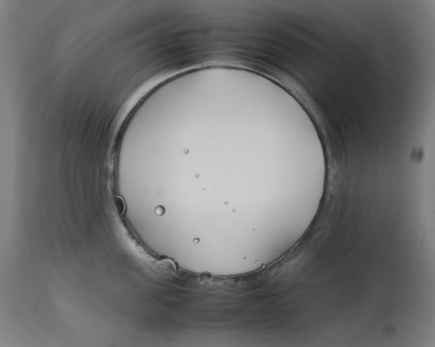 X0000112790955200909181511