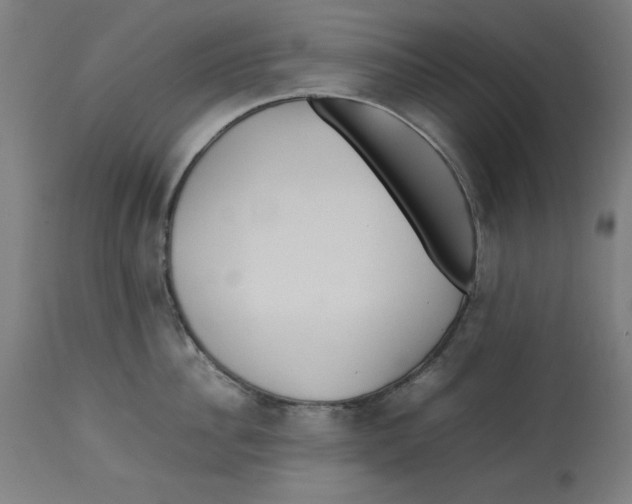 X0000112790956200909181511