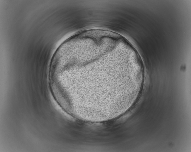 X0000112790957200909181511