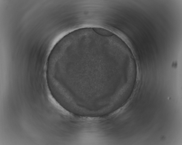 X0000112790958200909181511