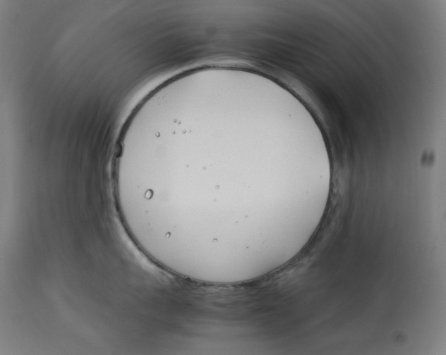 X0000112790959200909181511