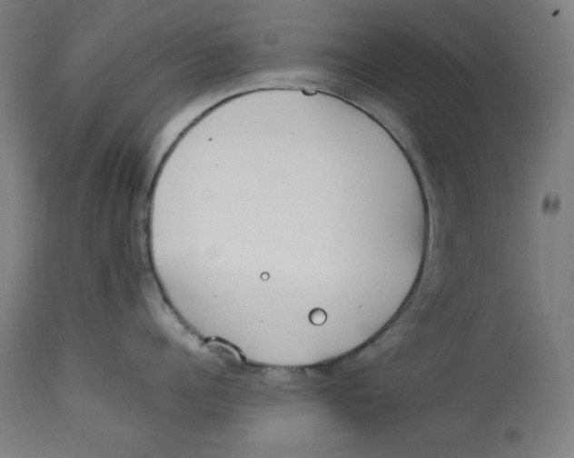 X0000112790960200909181511