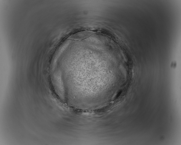 X0000112790961200909181510