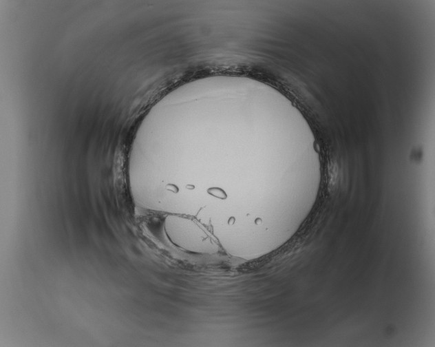 X0000112790964200909181510