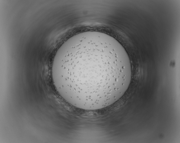 X0000112790966200909181510