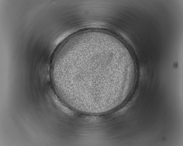 X0000112790970200909181510