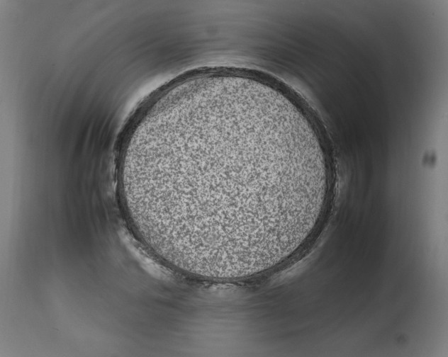 X0000112790974200909181510