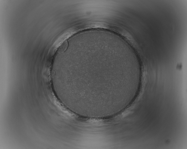 X0000112790977200909181510