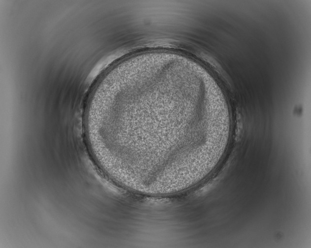 X0000112790978200909181510