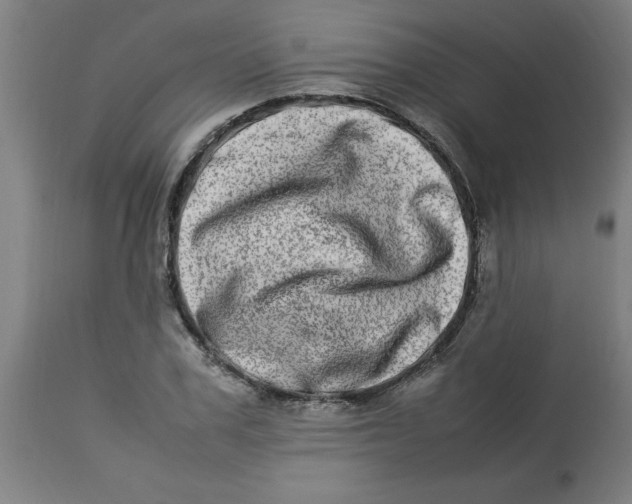 X0000112790979200909181510