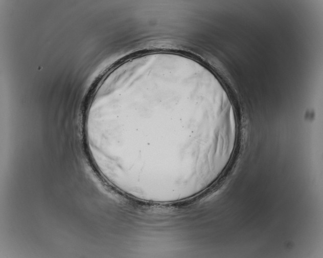 X0000112790981200909181510