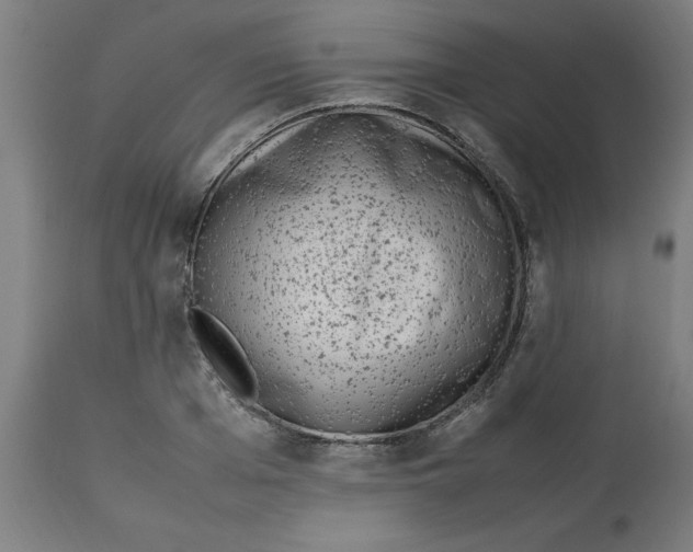 X0000112790985200909181510