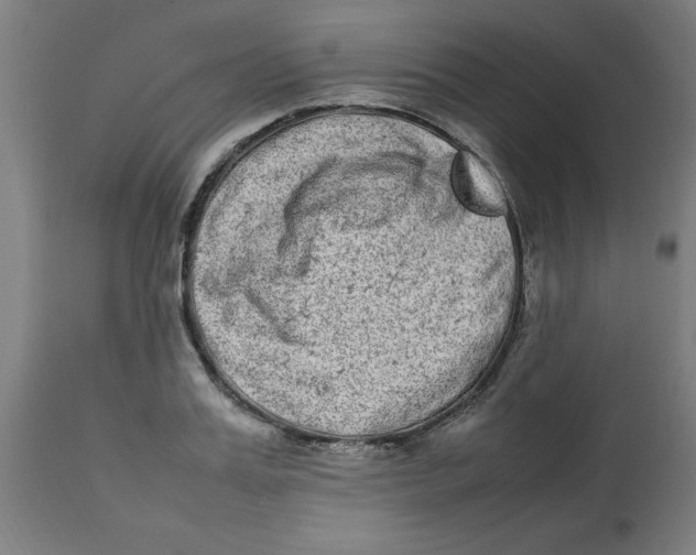 X0000112790987200909181510