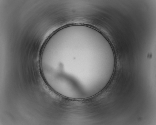 X0000112790990200909181510