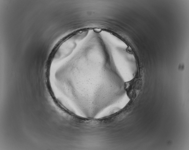 X0000112790991200909181510