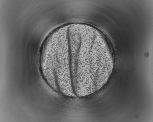 X0000112790992200909181510