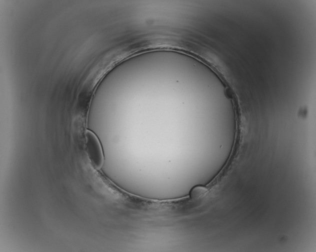 X0000112790993200909181510