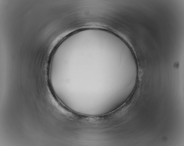 X0000112790995200909181510