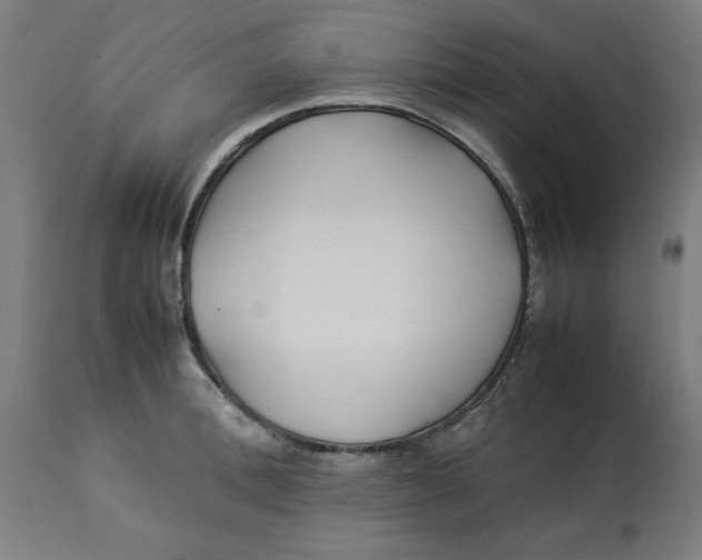 X0000112790996200909181509