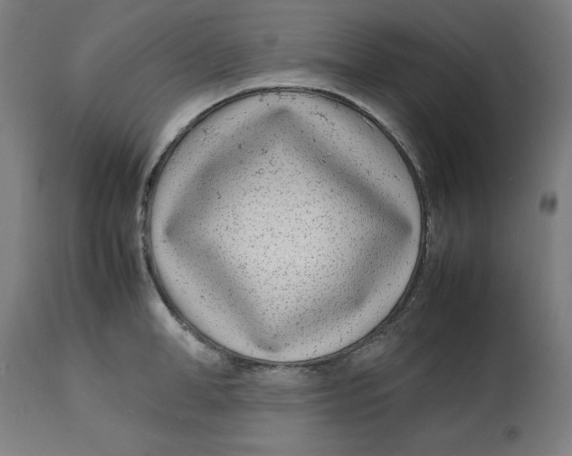 X0000112790998200909181509