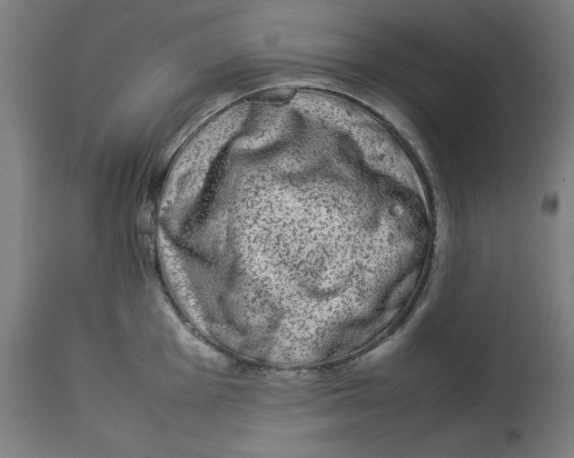 X0000112791001200909181509