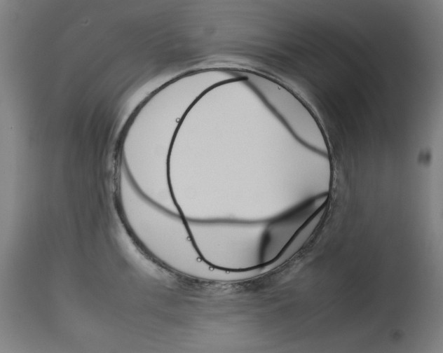 X0000112791003200909181509