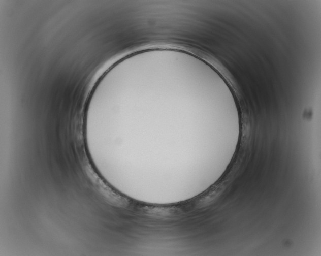 X0000112791004200909181509