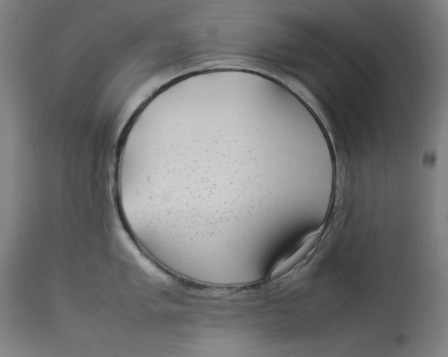 X0000112791005200909181509